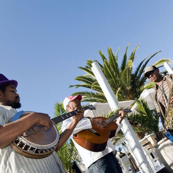 Musicians